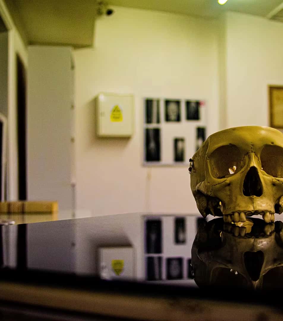 The Dentist - Escape Room Search